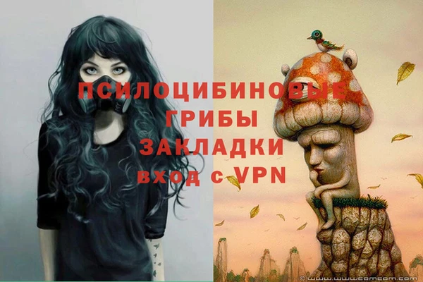 крисы Бронницы